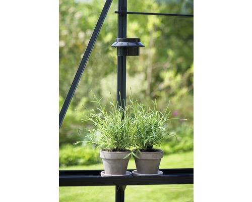 Juliana - Lampe LED solaire pour serre de jardin - Image 3