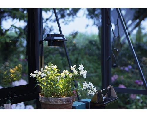 Juliana - Lampe LED solaire pour serre de jardin - Image 2