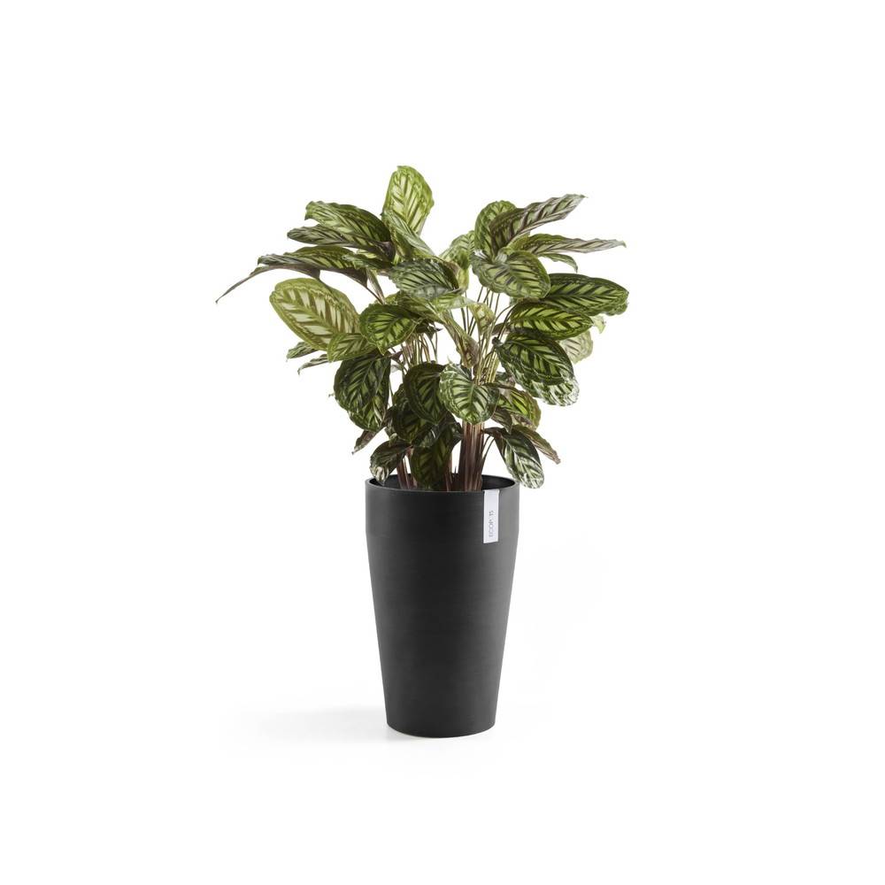 Ecopots - Pot Haut Sankara 55 Gris Foncé - Ø 35 x H. 55 cm - 36 L ECOPOTS - Image 3