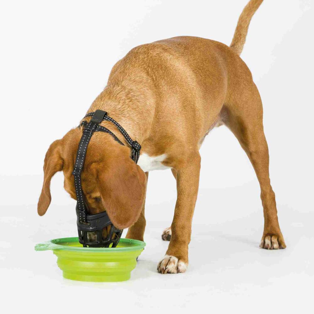 Trixie - Trixie - Muselière Muzzle Flex, en silicone Taille: S pour chien type Jack Russell Terrier. - Image 3
