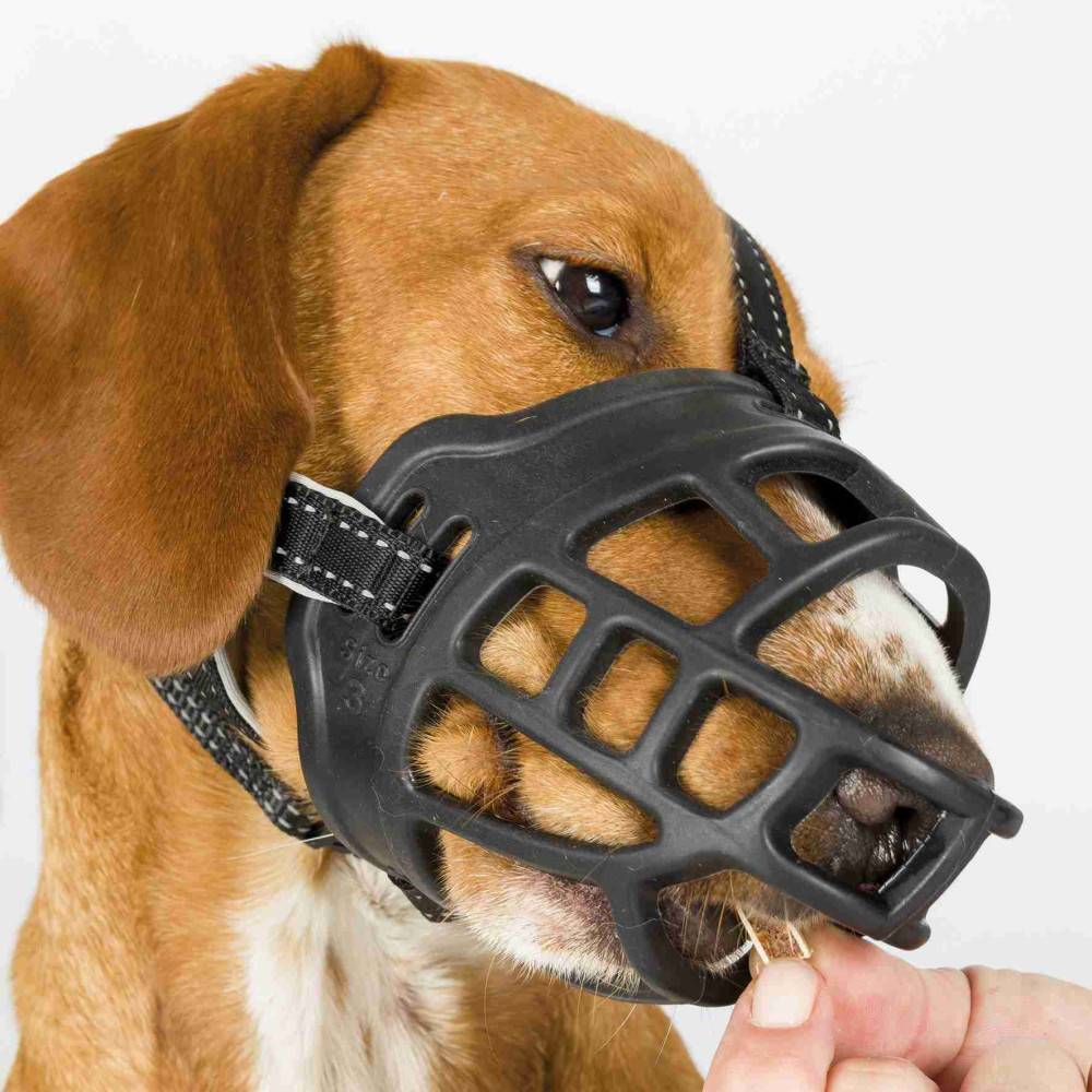 Trixie - Trixie - Muselière Muzzle Flex, en silicone Taille: S pour chien type Jack Russell Terrier. - Image 5