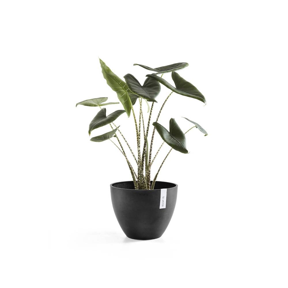Ecopots - Pot Rond Antwerp 50 New Gris Foncé - Ø 50 x H. 37,5 cm - 52 L ECOPOTS - Image 3