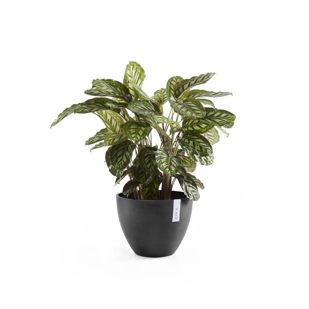 Ecopots - Pot Rond Antwerp 50 New Gris Foncé - Ø 50 x H. 37,5 cm - 52 L ECOPOTS - Image 2