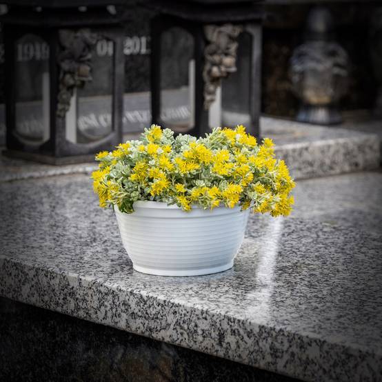 Bol à fleurs rond en plastique - Résistant aux intempéries - Diamètre: 18 cm - Blanc - Image 5