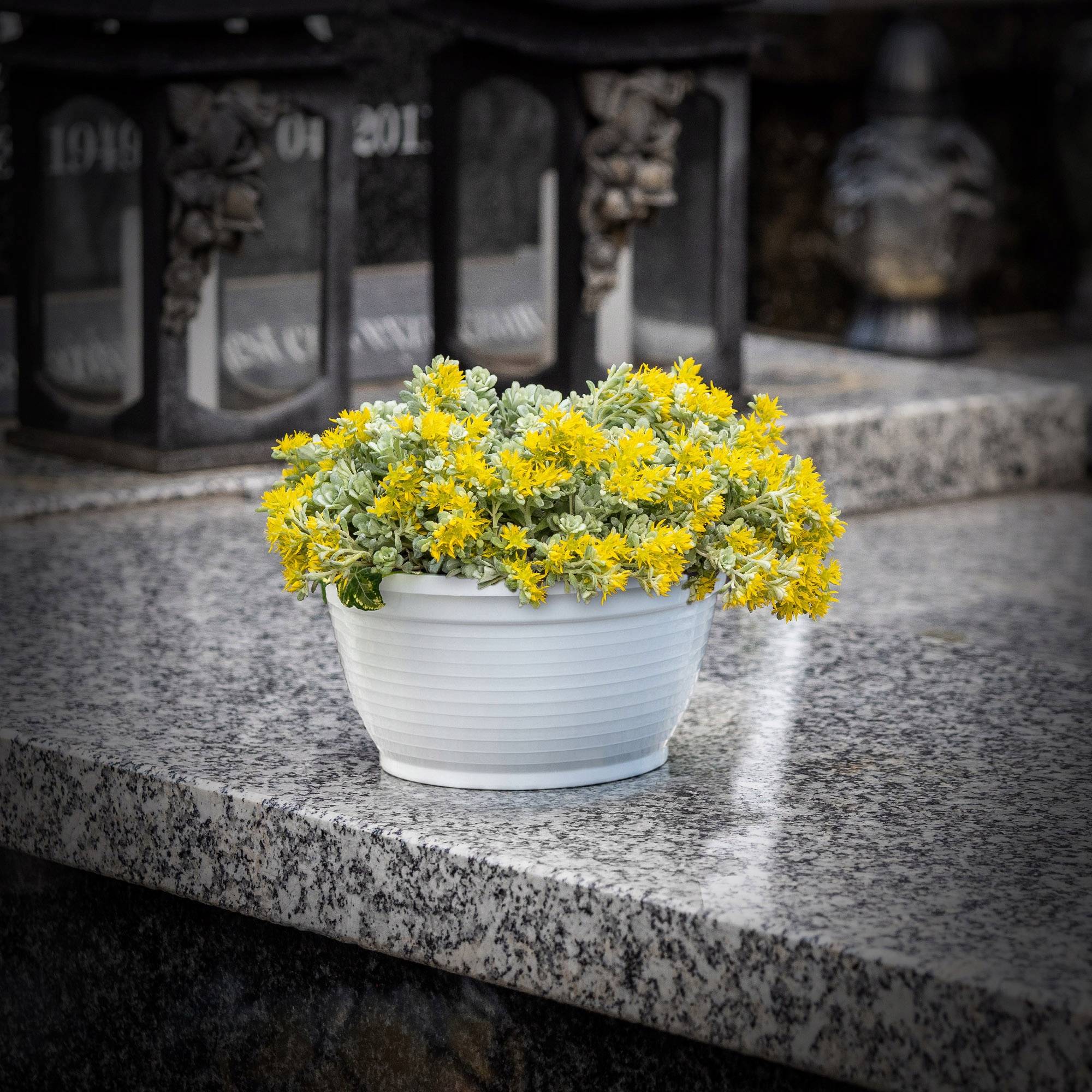 Bol à fleurs rond en plastique - Résistant aux intempéries - Diamètre: 18 cm - Blanc - Image 5