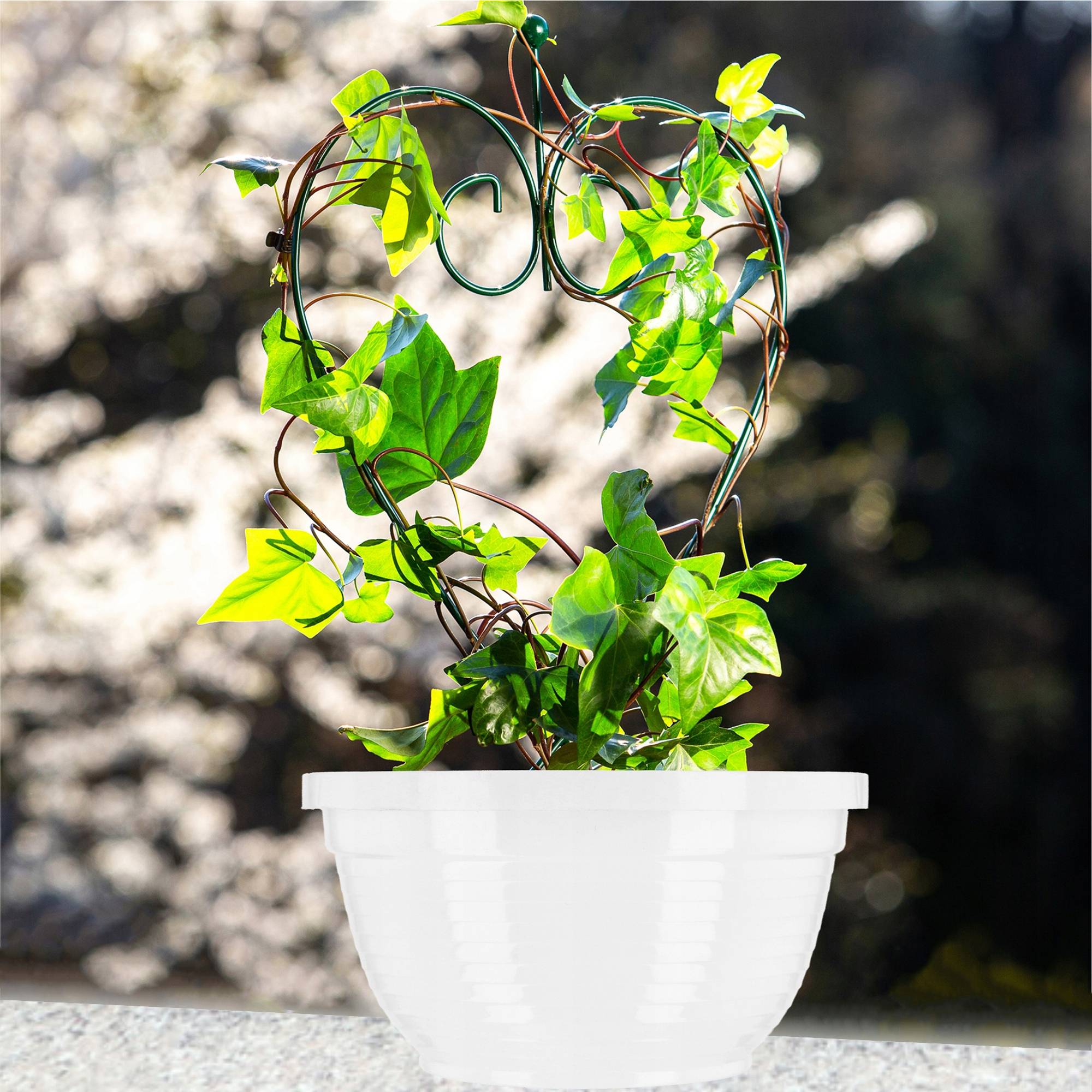 Bol à fleurs rond en plastique - Résistant aux intempéries - Diamètre: 18 cm - Blanc - Image 7