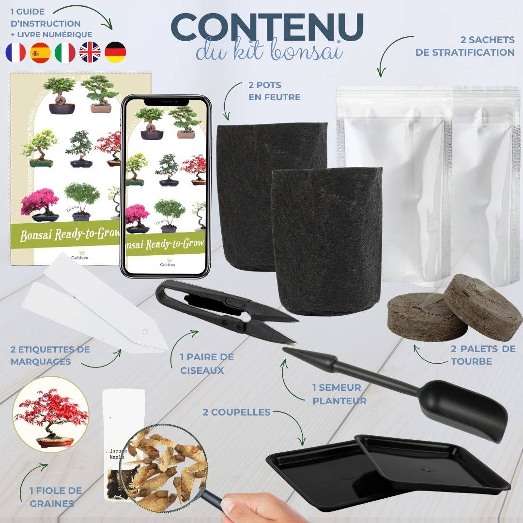 CULTIVEA® Kit First Bonsai Japanese Maple- Kit de première culture de Bonsaï – Prêt à Pousser avec Graines & Accessoires - Image 2