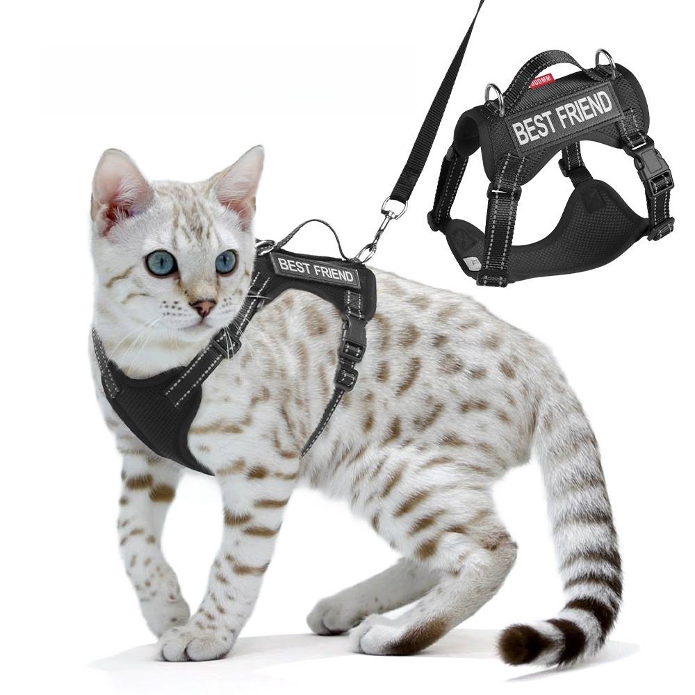 Harnois de promenade pour chat l - IntiMeg - Image 3