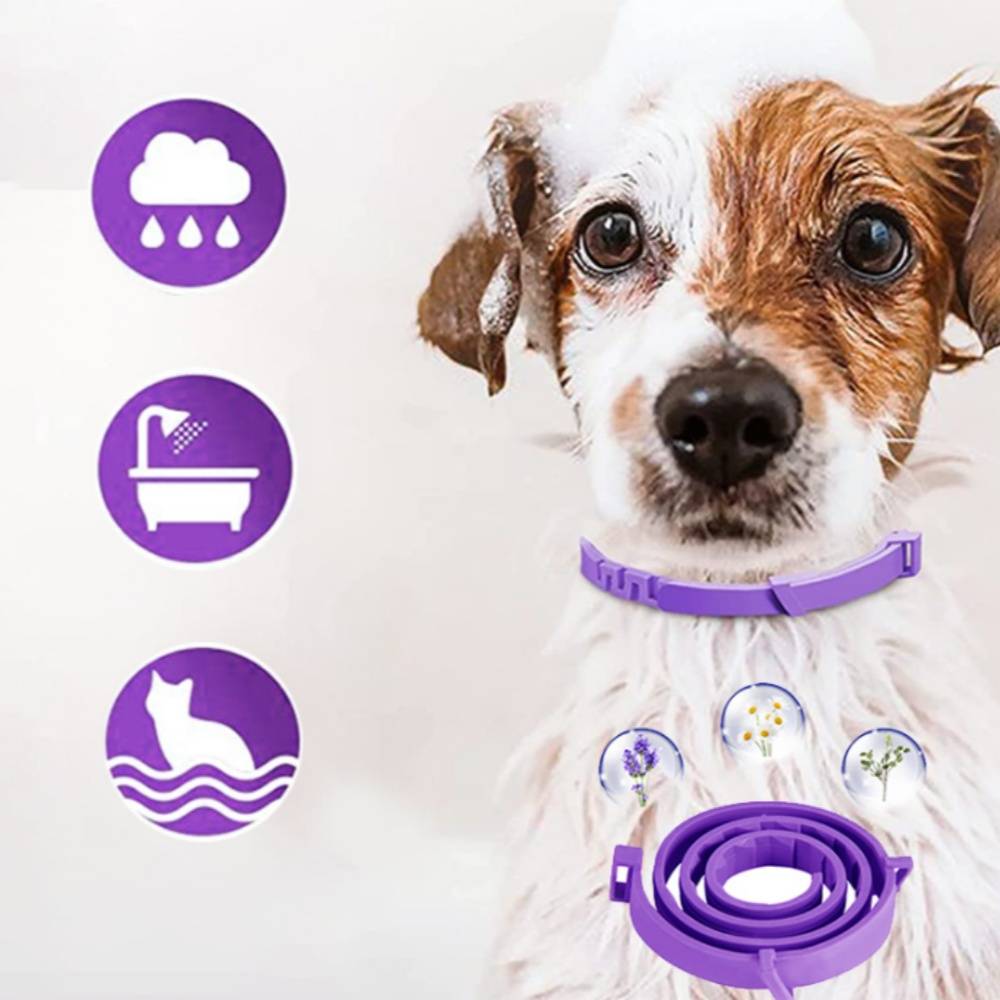 Collier apaisant réglable pour chiens et chats DtopbuyAge - Image 2