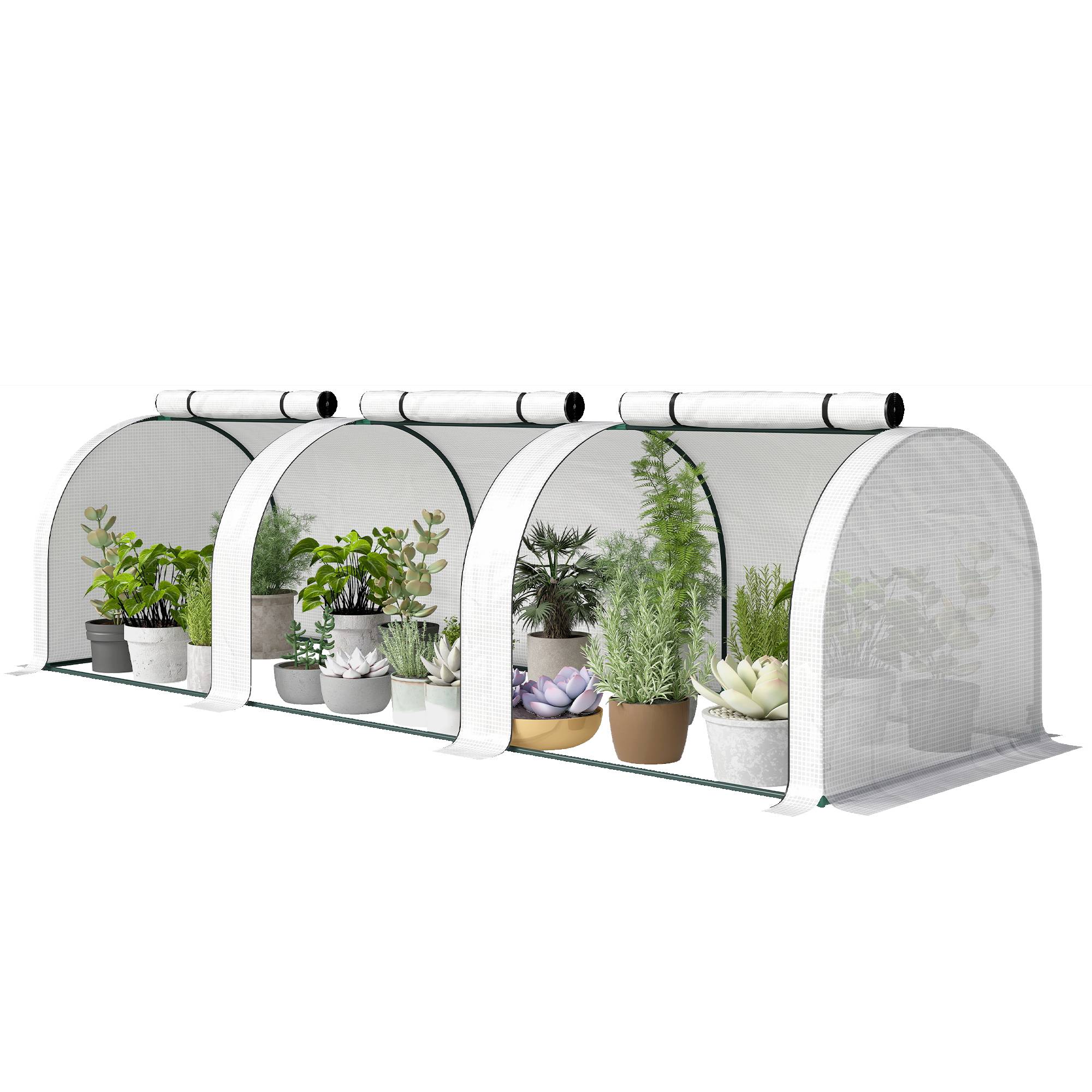 ComfortXL - Serre tunnel acier PE pour tomates jardin protection froid 295x100x80cm blanc - ComfortXL Outdoor Living - Image 2