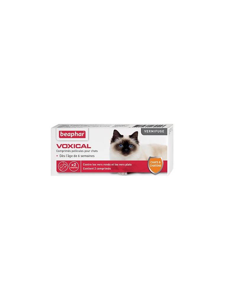 Voxical vermifuge Chat et Chaton