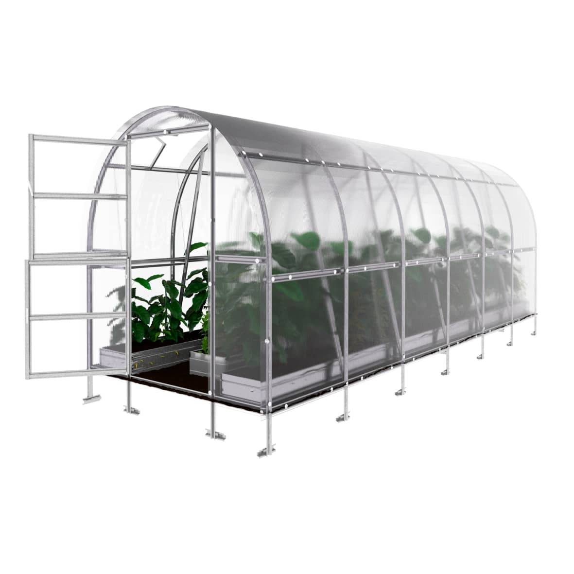 KLASIKA GREENHOUSES - Serre KLASIKA SLIM 2 x 6 m (12 m²) , 6 mm avec revêtement en polycarbonate - Image 6