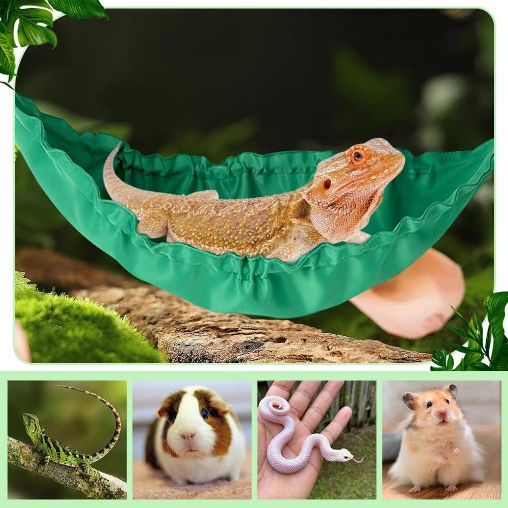 Hamac pour reptiles DtopbuyAge - Image 2