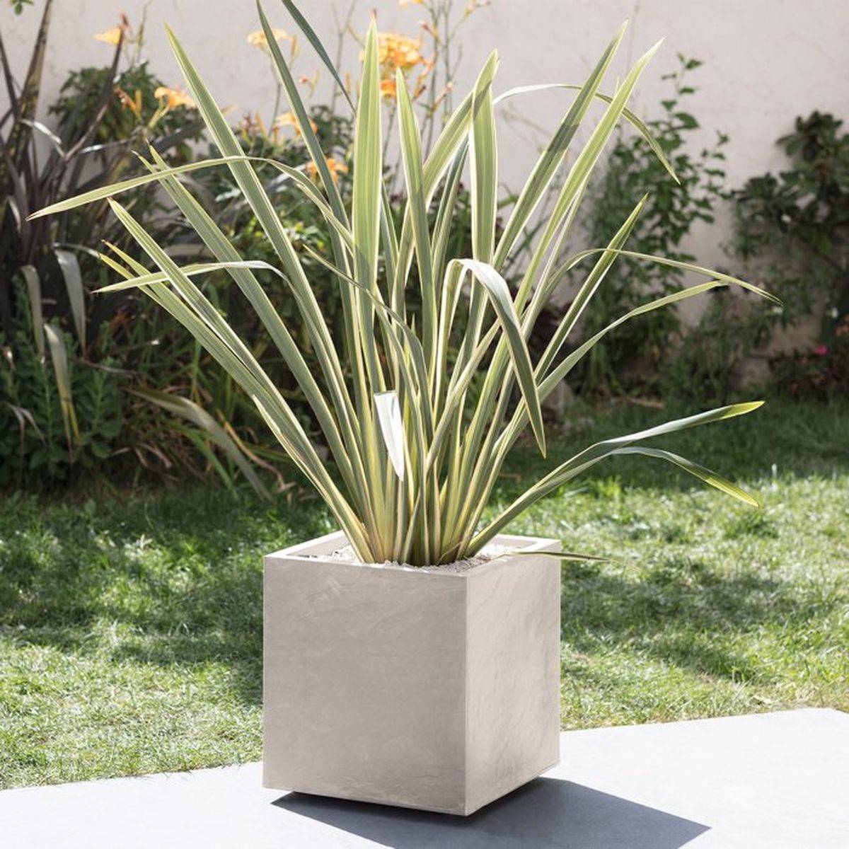 Eda - Jardinière carrée Volcania effet pierre 39,5 x 39,5 x 43,5 cm - 31 L - Beige calcaire - Eda - Image 5