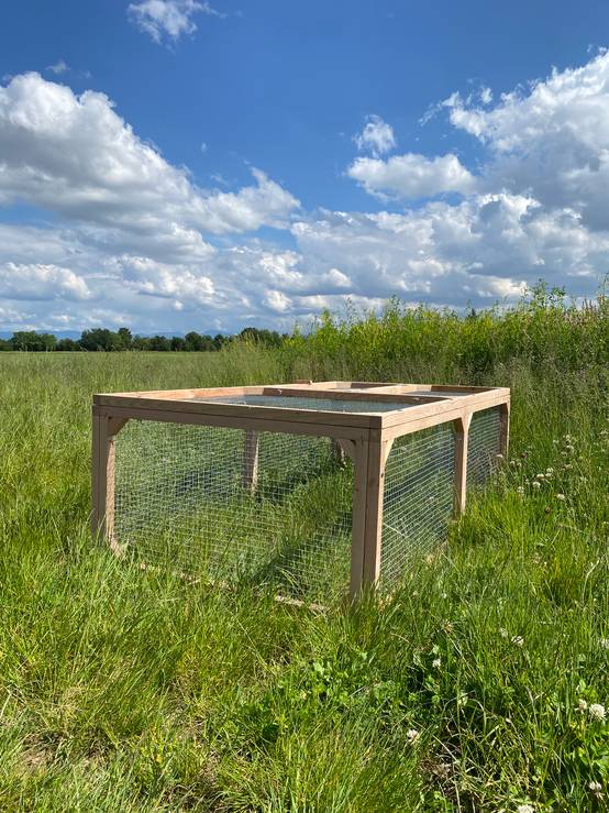 Compact Solide Enclos à tortue 2m en bois Douglas & grillage acier galvanisé, sécurisé ...