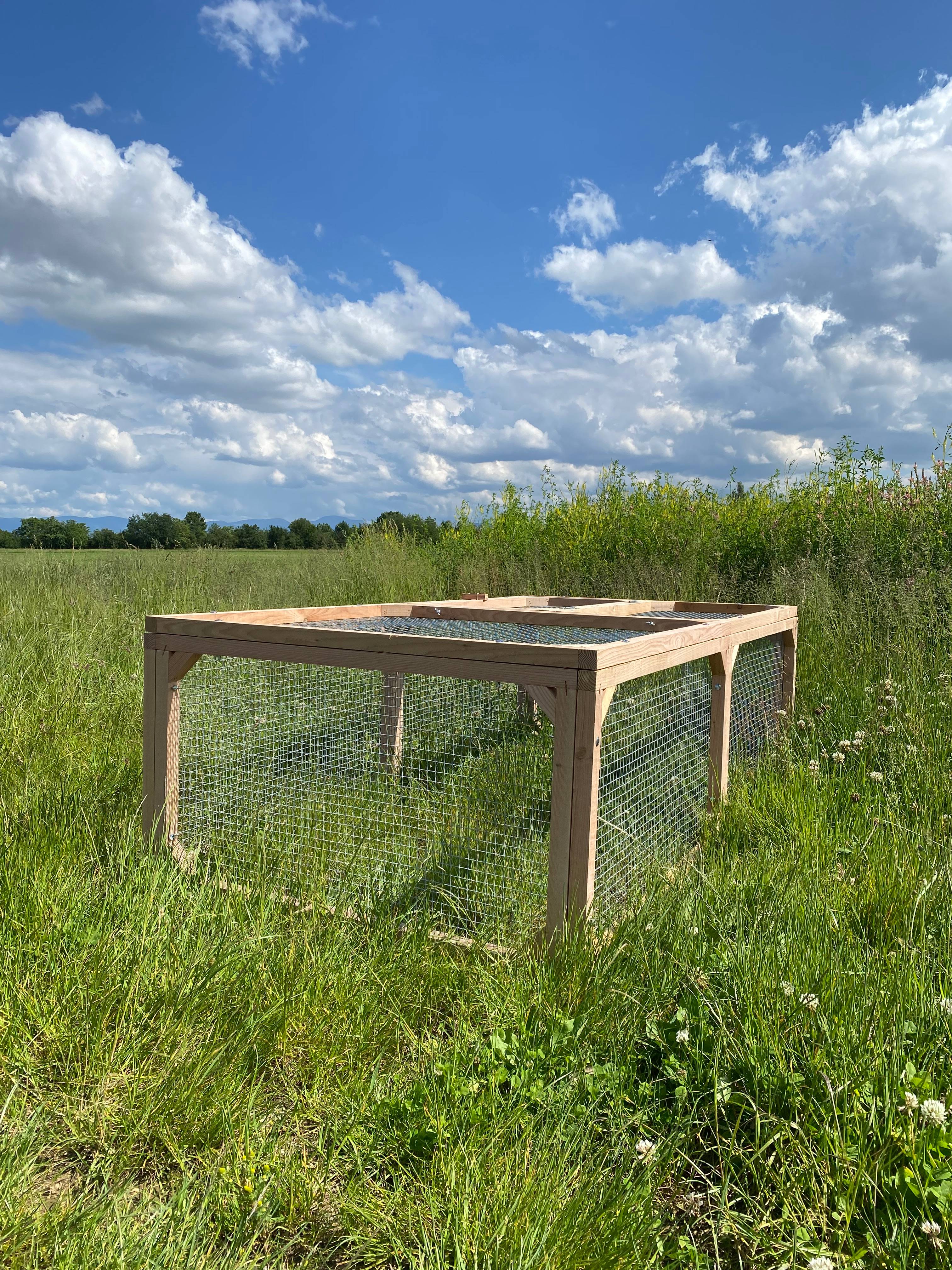Enclos à tortue 2m en bois Douglas & grillage acier galvanisé, sécurisé ...
