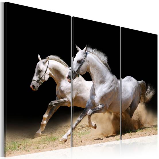 Tableau Imprimé "Chevaux Force & Dynamique" 60 x 90 cm - Image 1
