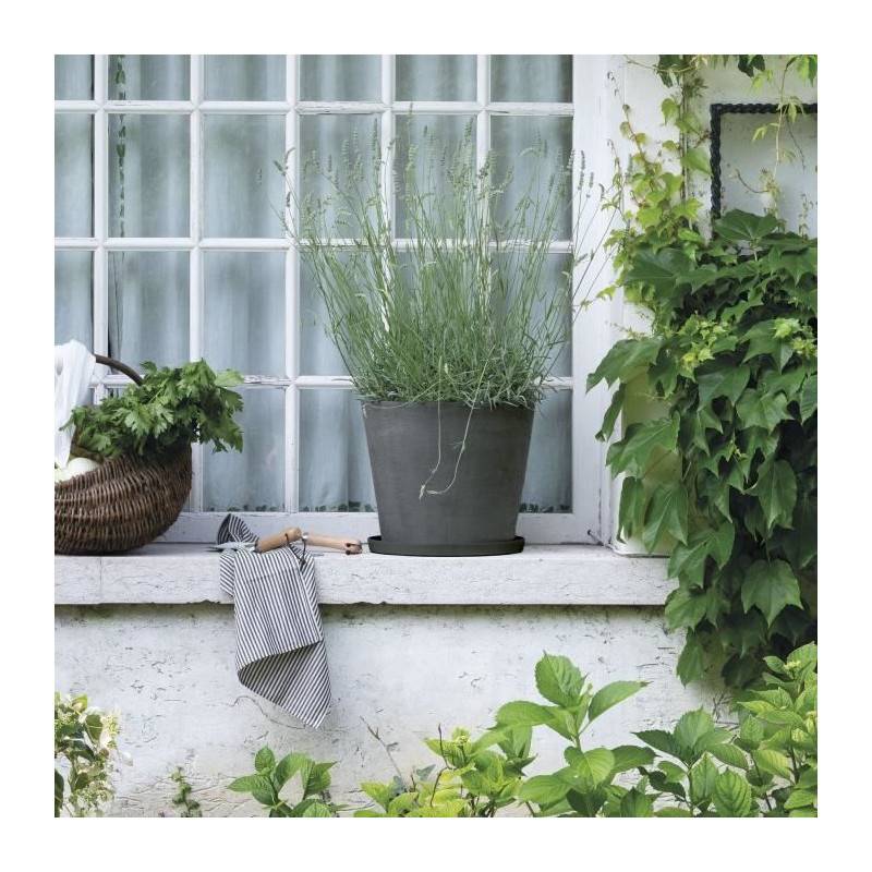 Deroma - Soucoupe - Deroma - Origin - 67 X H6 Cm - Gris - Image 2