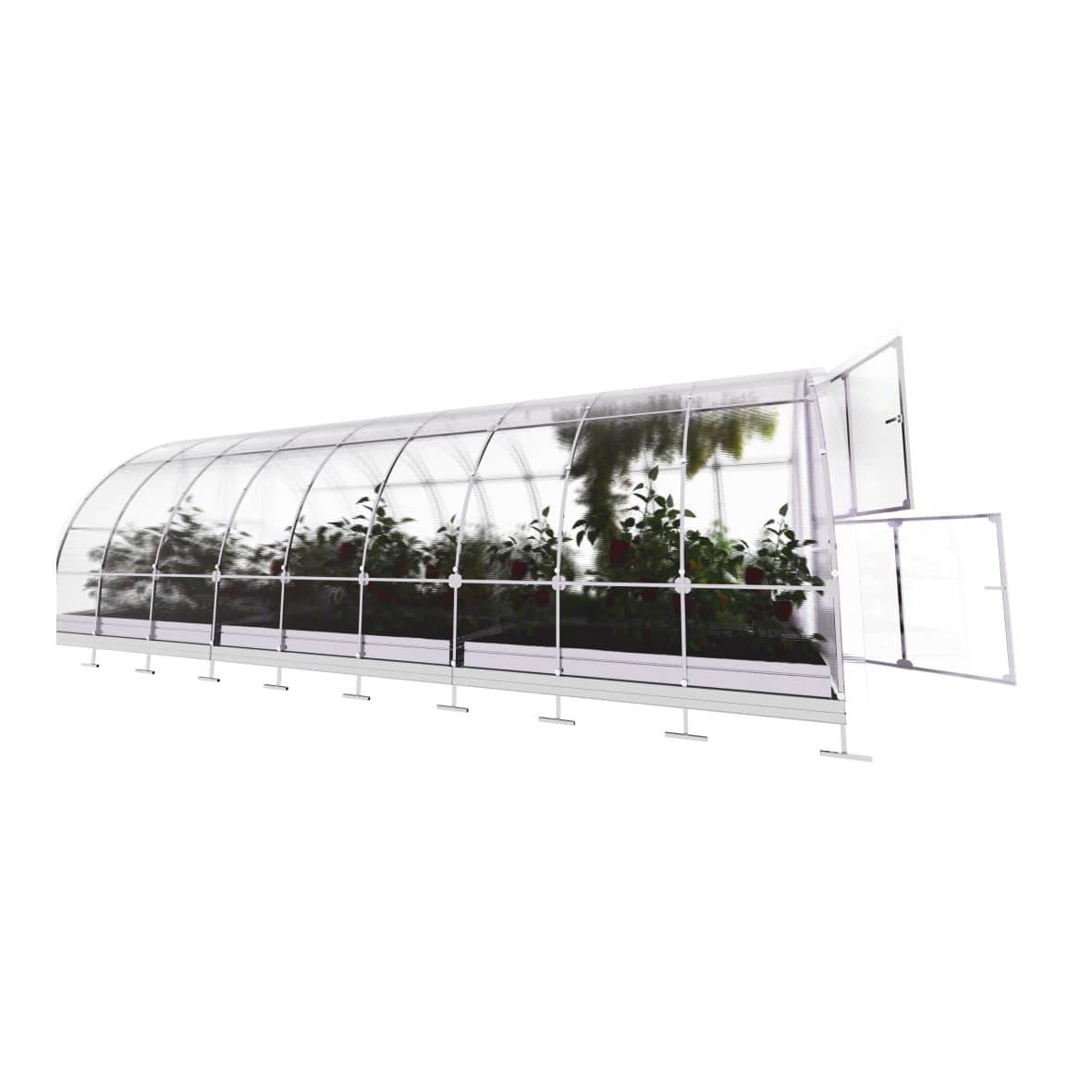 KLASIKA GREENHOUSES - Serre KLASIKA TUBE 3 x 6 m (18 m²), 6 mm avec revêtement en polycarbonate - Image 5