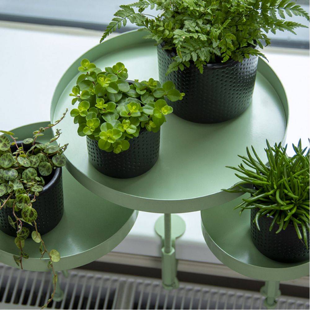 Esschert Design - Support à plantes rond  à fixer hauteur réglable vert 24.6 x 24 cm - Image 3