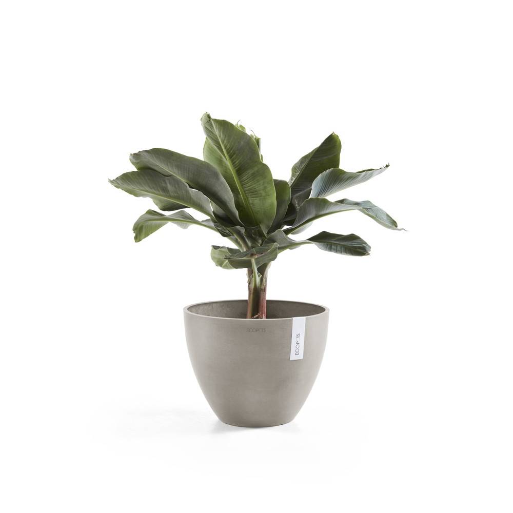Ecopots - Pot Rond Antwerp 50 Old Taupe - Ø 50 x H. 37,5 cm - 52 L ECOPOTS - Image 2