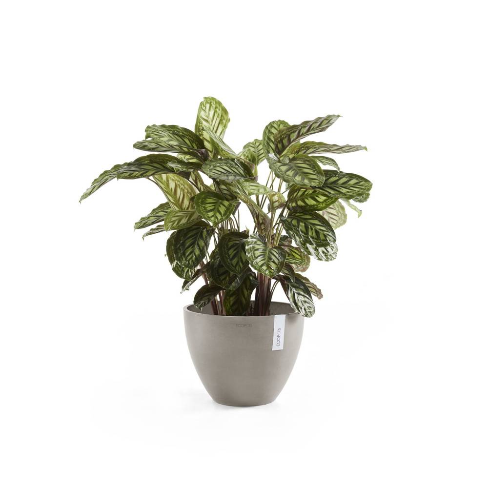 Ecopots - Pot Rond Antwerp 50 Old Taupe - Ø 50 x H. 37,5 cm - 52 L ECOPOTS - Image 1