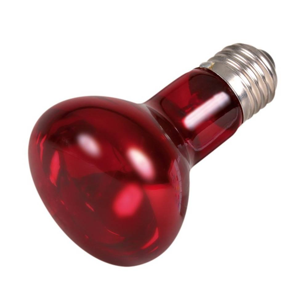 Trixie - Trixie - 50 w lampe infrarouge à chaleur, ø 63 × 100 mm - Image 1