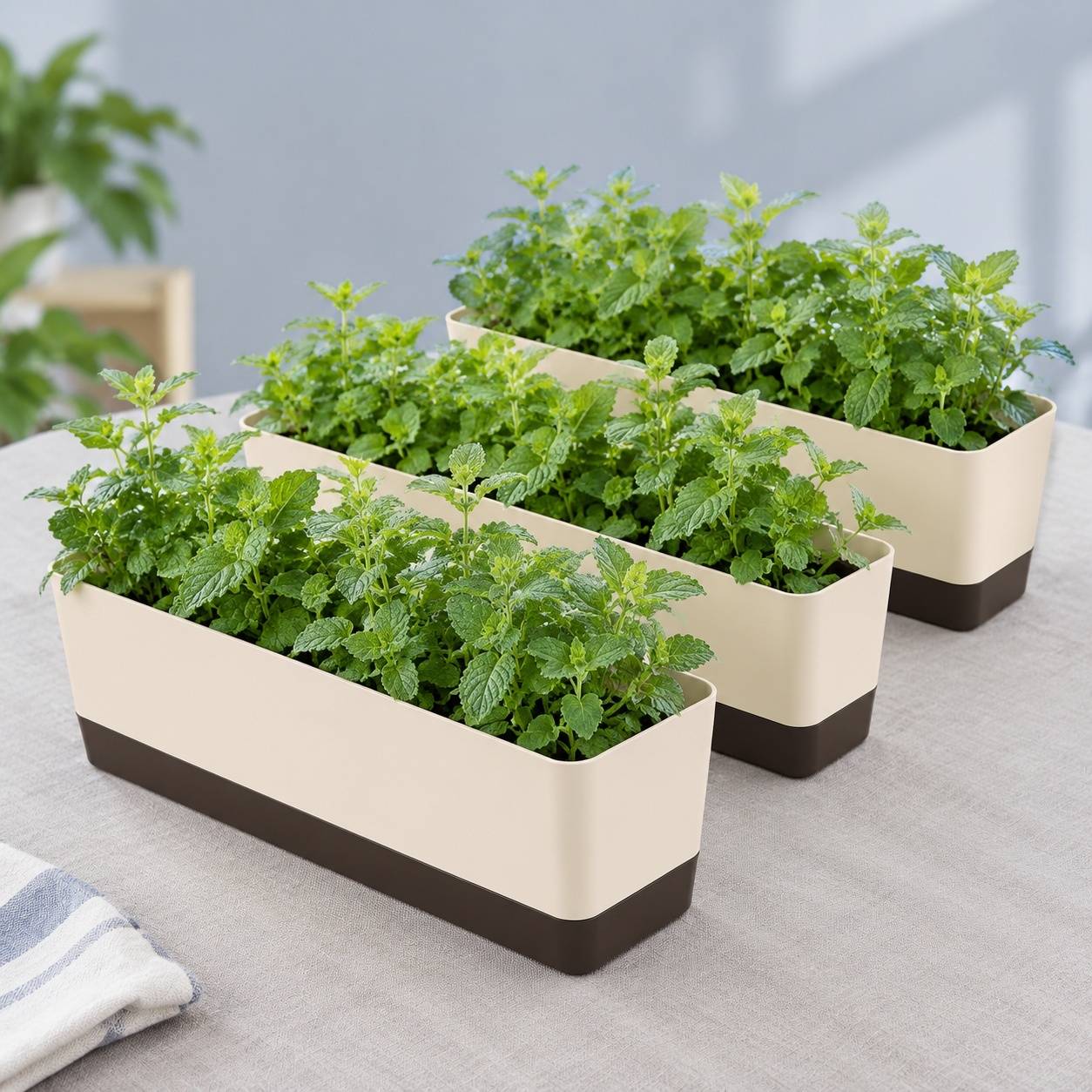 Jardinière Rectangulaire Plastique avec Drainage pour Fleurs Lot de 3 - Image 7