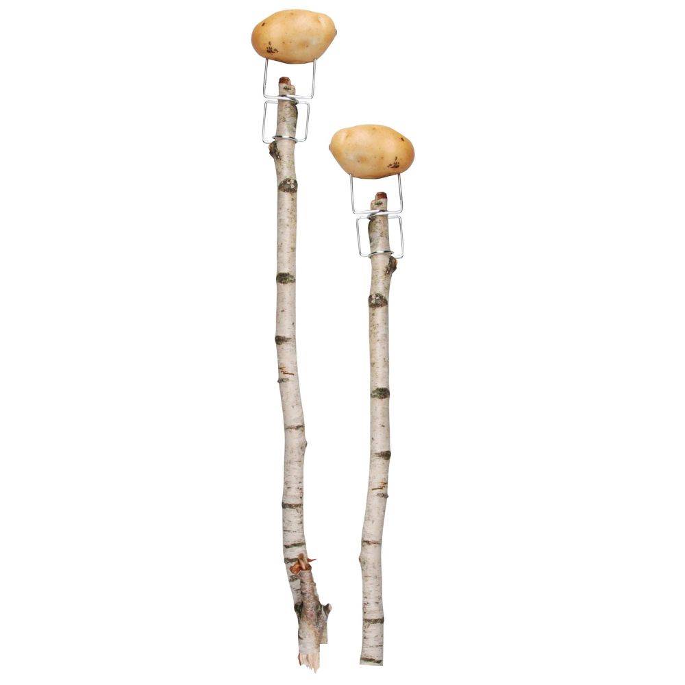 Esschert Design - Accessoires pour barbecue nomade  (Lot de 2) - Image 4
