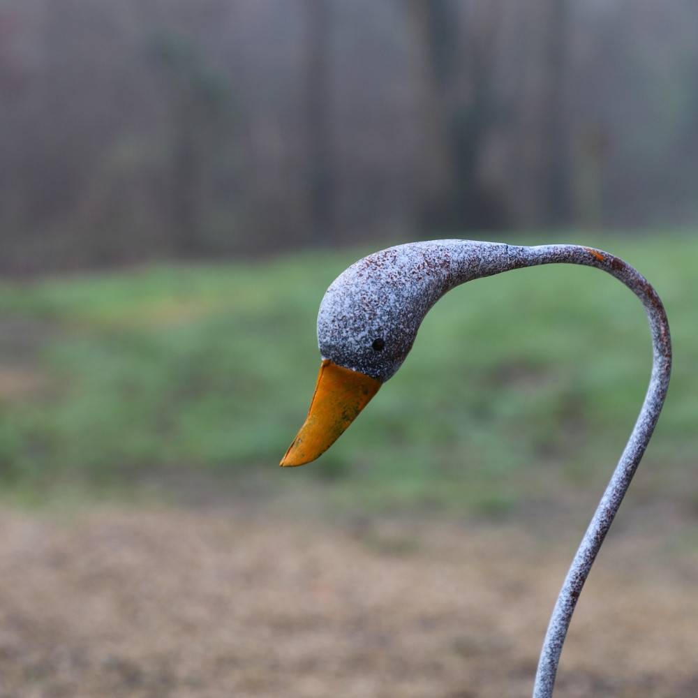 Set de 2 Canes en métal gris et orange Ht.58-72 cm Chemin de campagne - Image 5