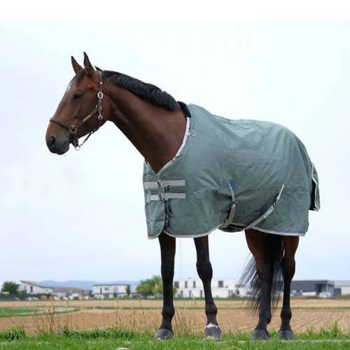 Couverture Chevaux Extérieur - Equithème - 0g Equithème Tailles Cheval Cheval - Image 1