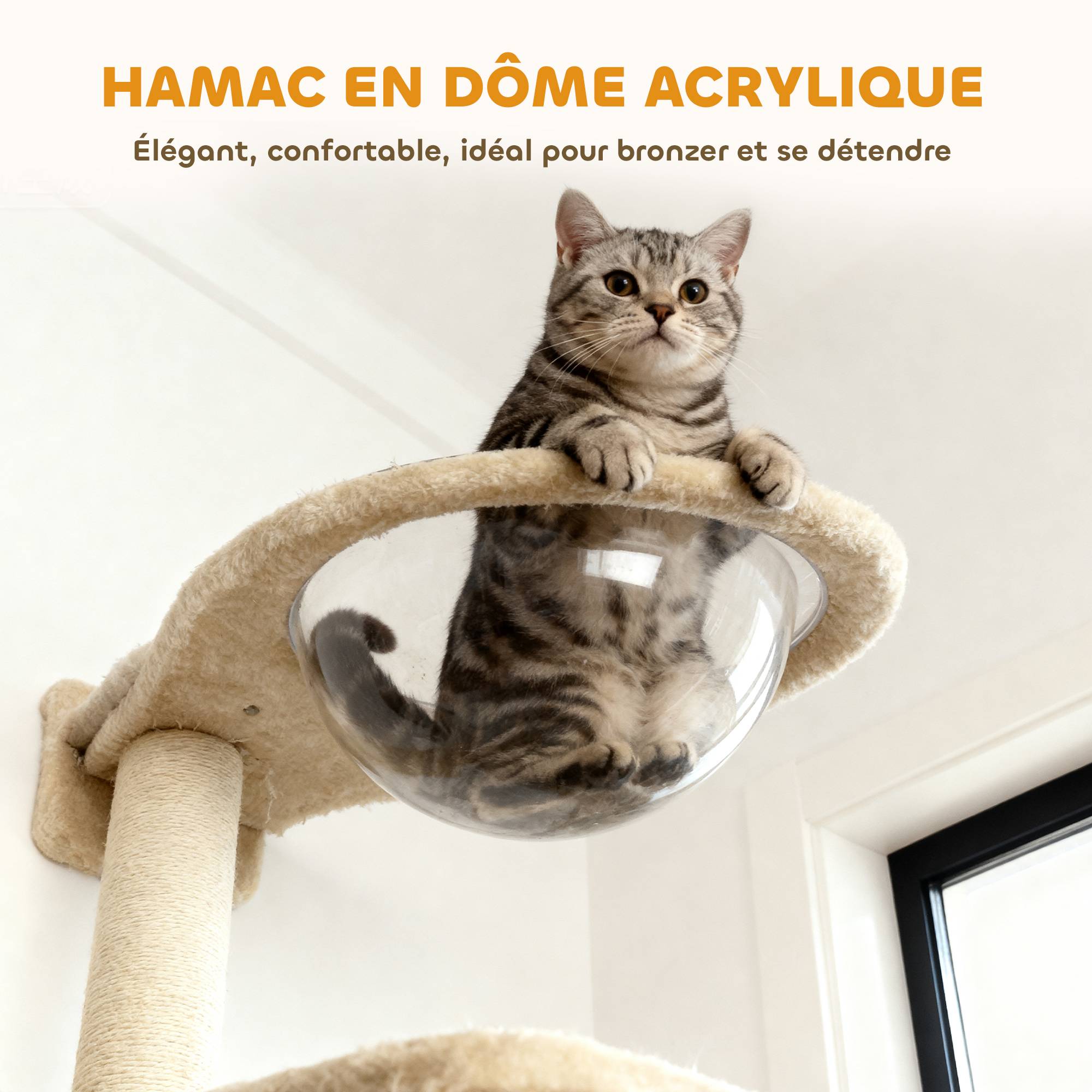 Arbre à chat mural 6 pièces particules acrylique intérieur jeu repos 151cm beige - ComfortXL Outdoor Living - Image 8
