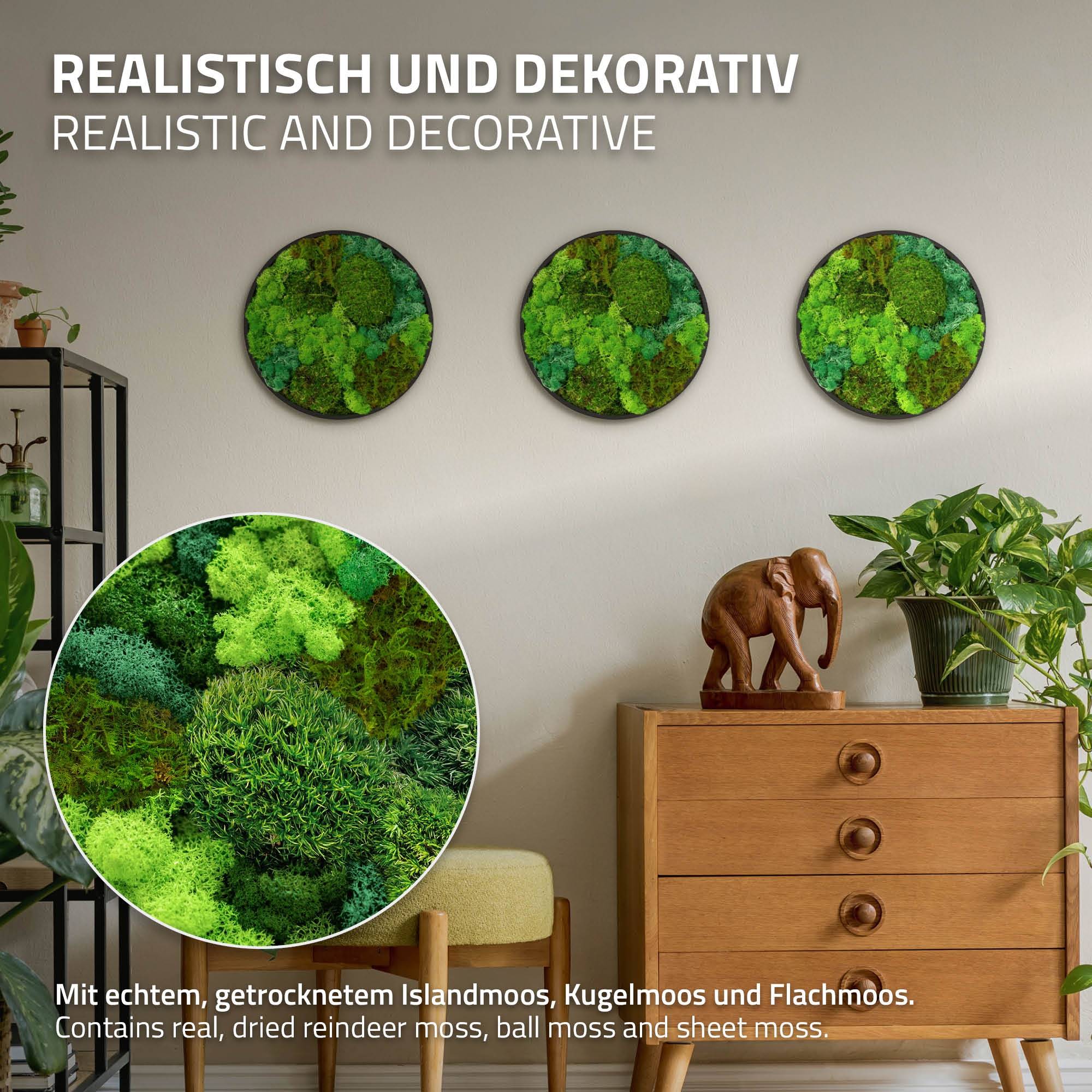 Ecd-Germany - Tableau végétal mural, mélange de mousses stabilisées, cadre en MDF rond Ø 30 cm, vert, décoration d'intérieur effet 3D, sans entretien, pièce unique - Image 3