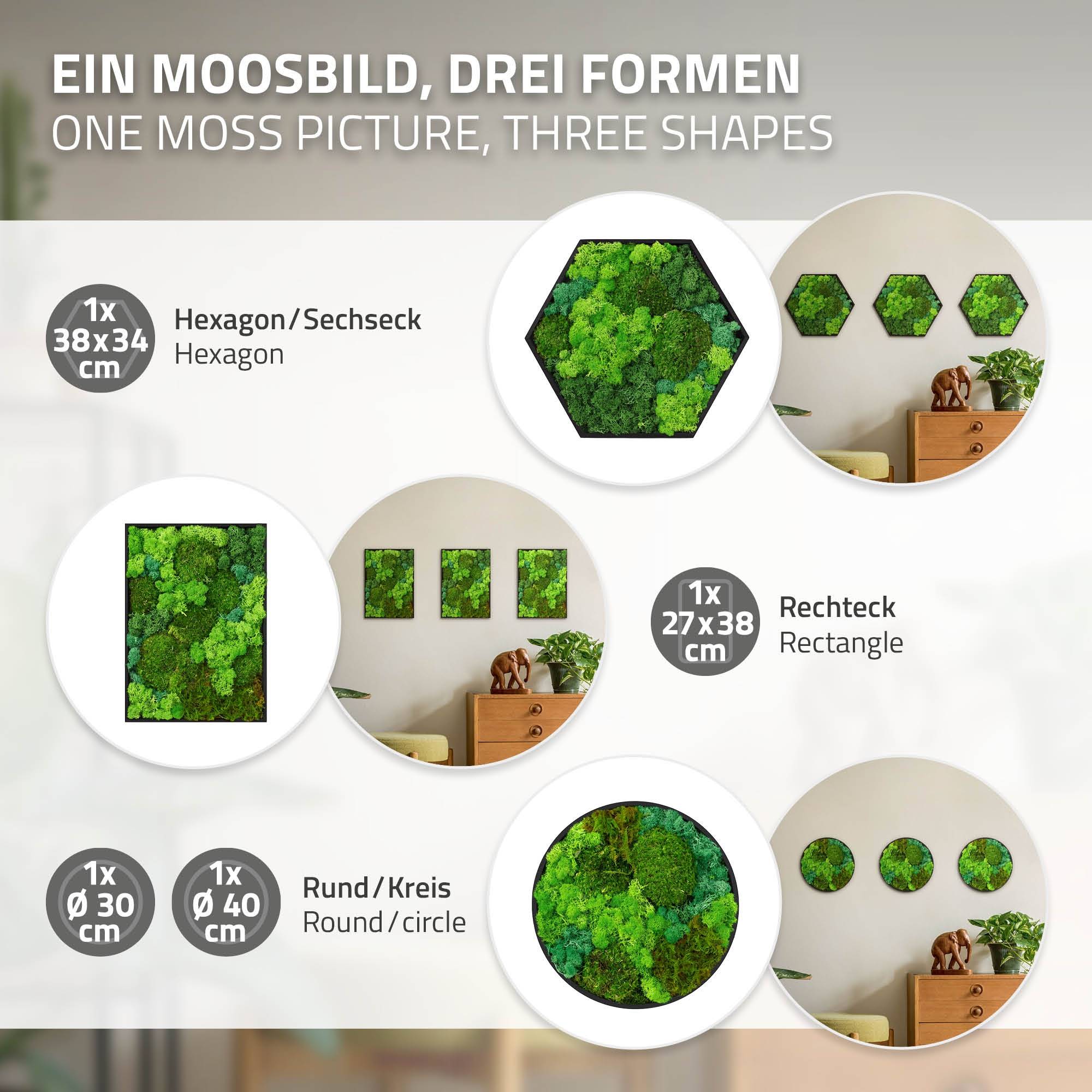 Ecd-Germany - Tableau végétal mural, mélange de mousses stabilisées, cadre en MDF rond Ø 30 cm, vert, décoration d'intérieur effet 3D, sans entretien, pièce unique - Image 6