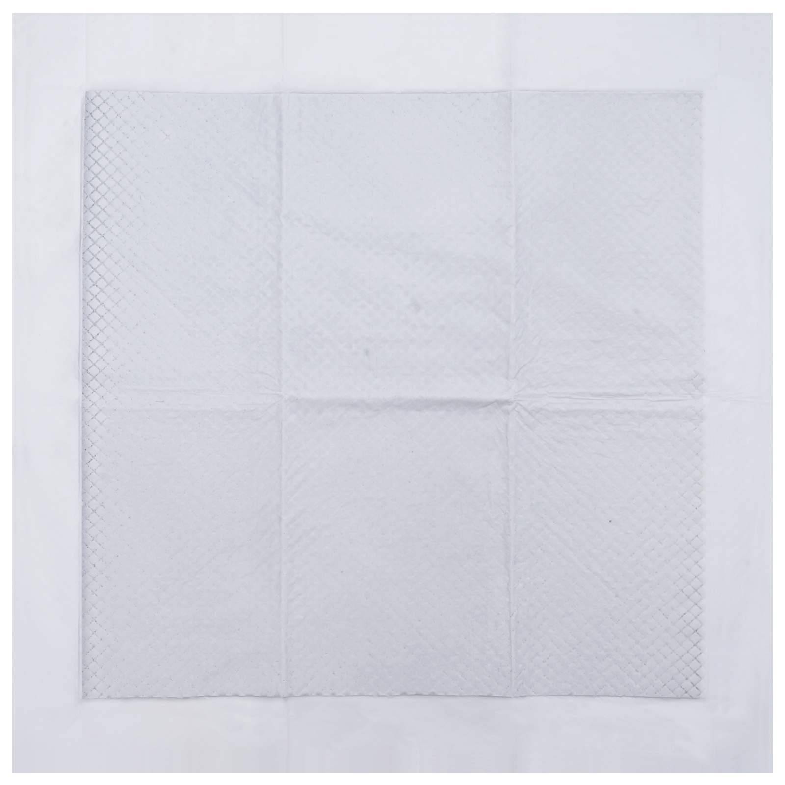 Vidaxl - Tapis d'entraînement pour animaux en tissu non tissé 200 pcs vidaXL 42025310 - Image 8