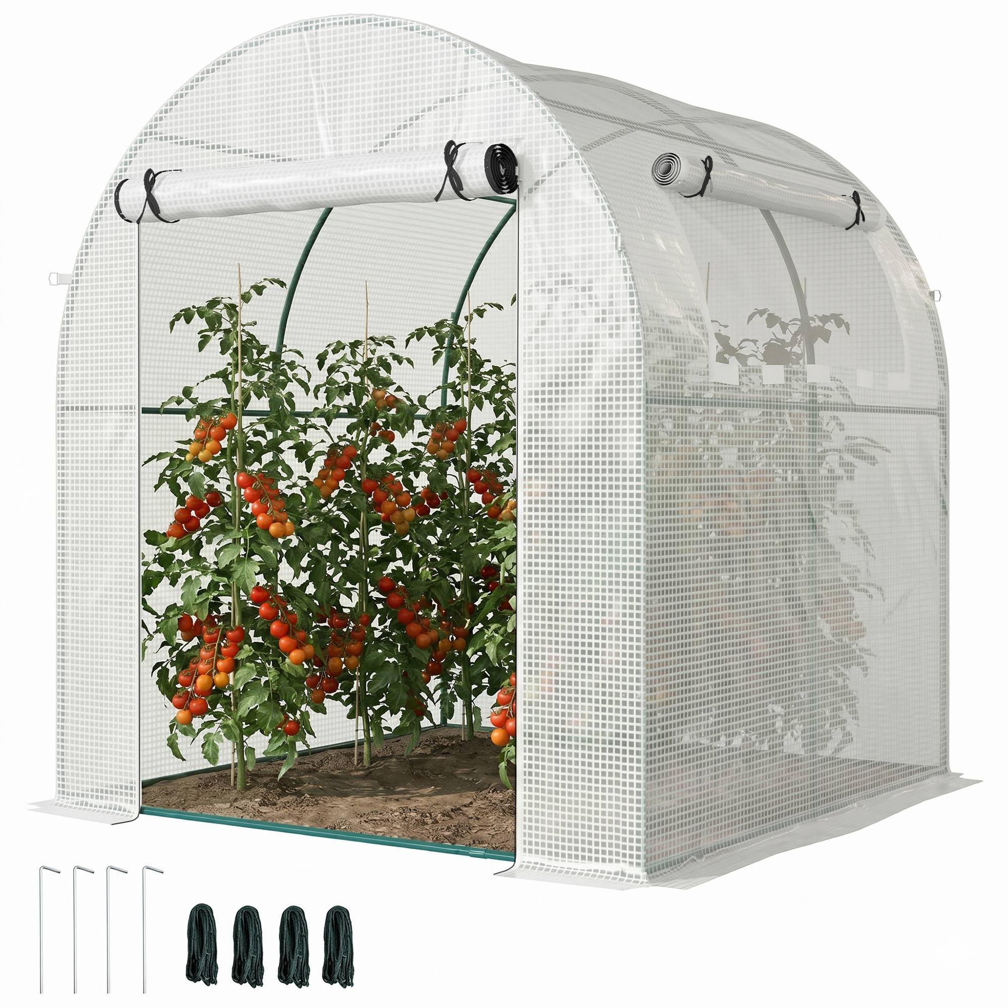 Serre de jardin acier bâche plastique pour semis fleurs fenêtres 180x180x200cm blanc - ComfortXL Outdoor Living - Image 1