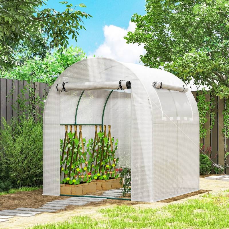 ComfortXL - Serre tunnel de jardin acier PE 180 x 180 x 200 cm blanche porte et fenêtre enroulables - ComfortXL Outdoor Living - Image 1
