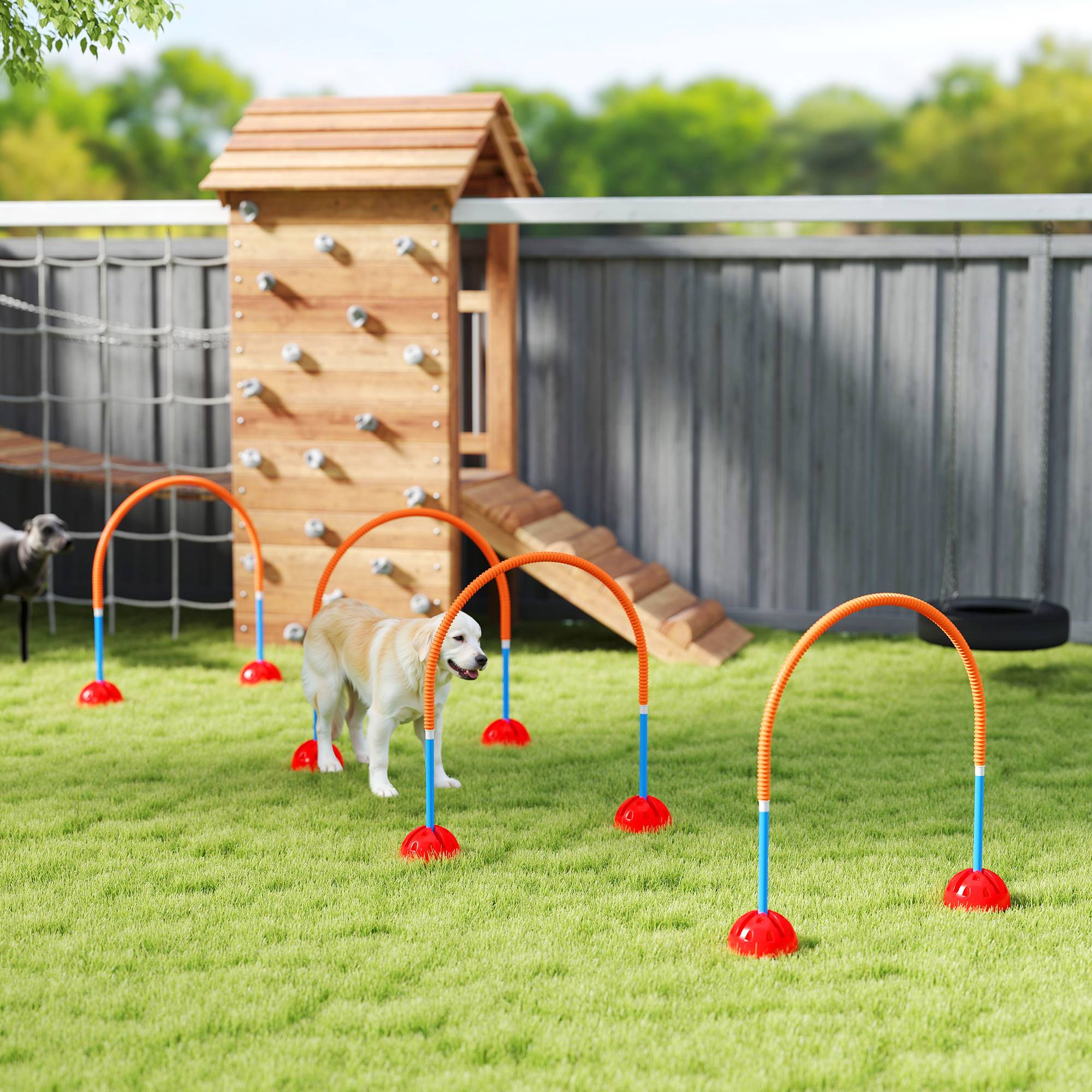 ComfortXL - Parcours agilité chien 4 portiques en plastique bleu orange largeur réglable avec sac - ComfortXL Outdoor Living - Image 4