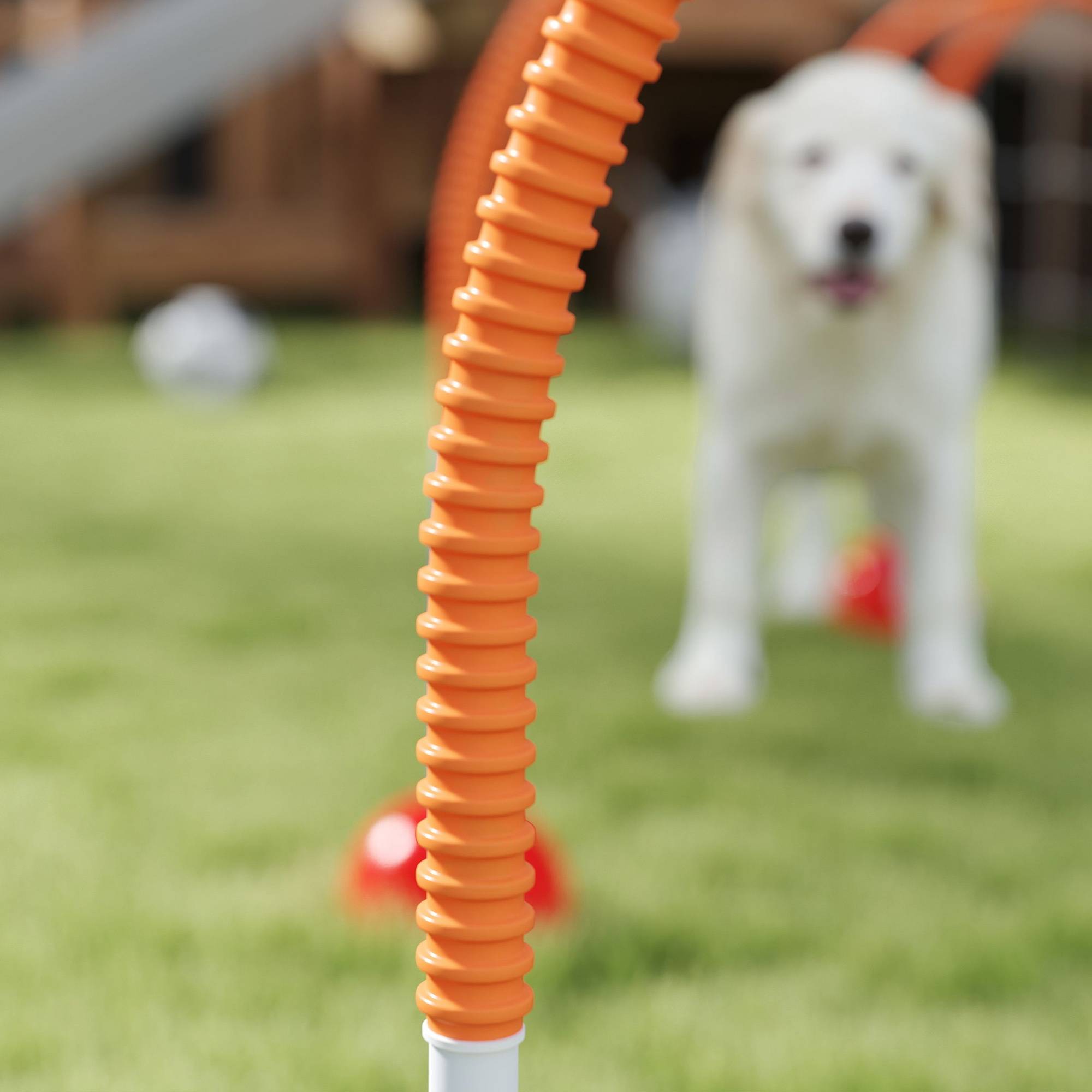 ComfortXL - Parcours agilité chien 4 portiques en plastique bleu orange largeur réglable avec sac - ComfortXL Outdoor Living - Image 10