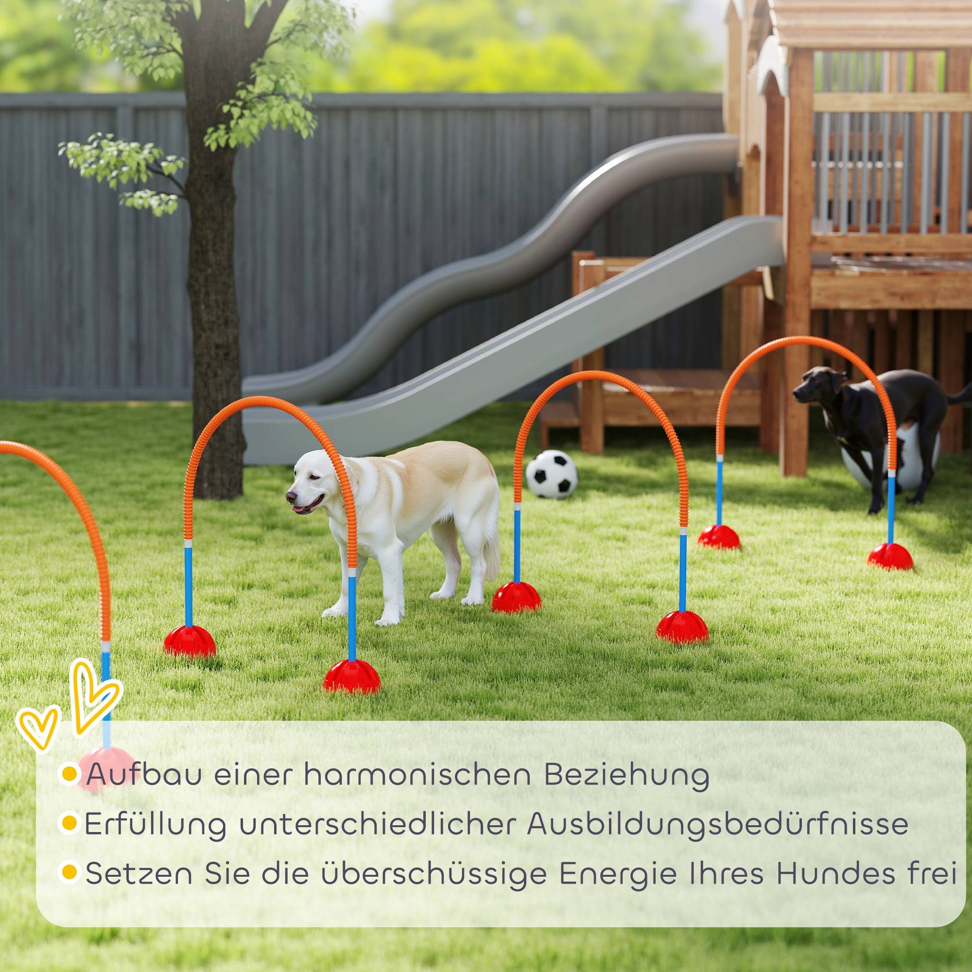 ComfortXL - Parcours agilité chien 4 portiques en plastique bleu orange largeur réglable avec sac - ComfortXL Outdoor Living - Image 9