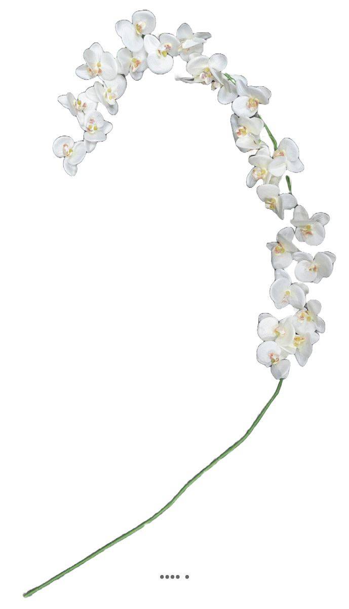 Artificielles - Orchidée en tige retombant H190cm 32 fleurons 5 boutons fermés PE Crème - Image 1