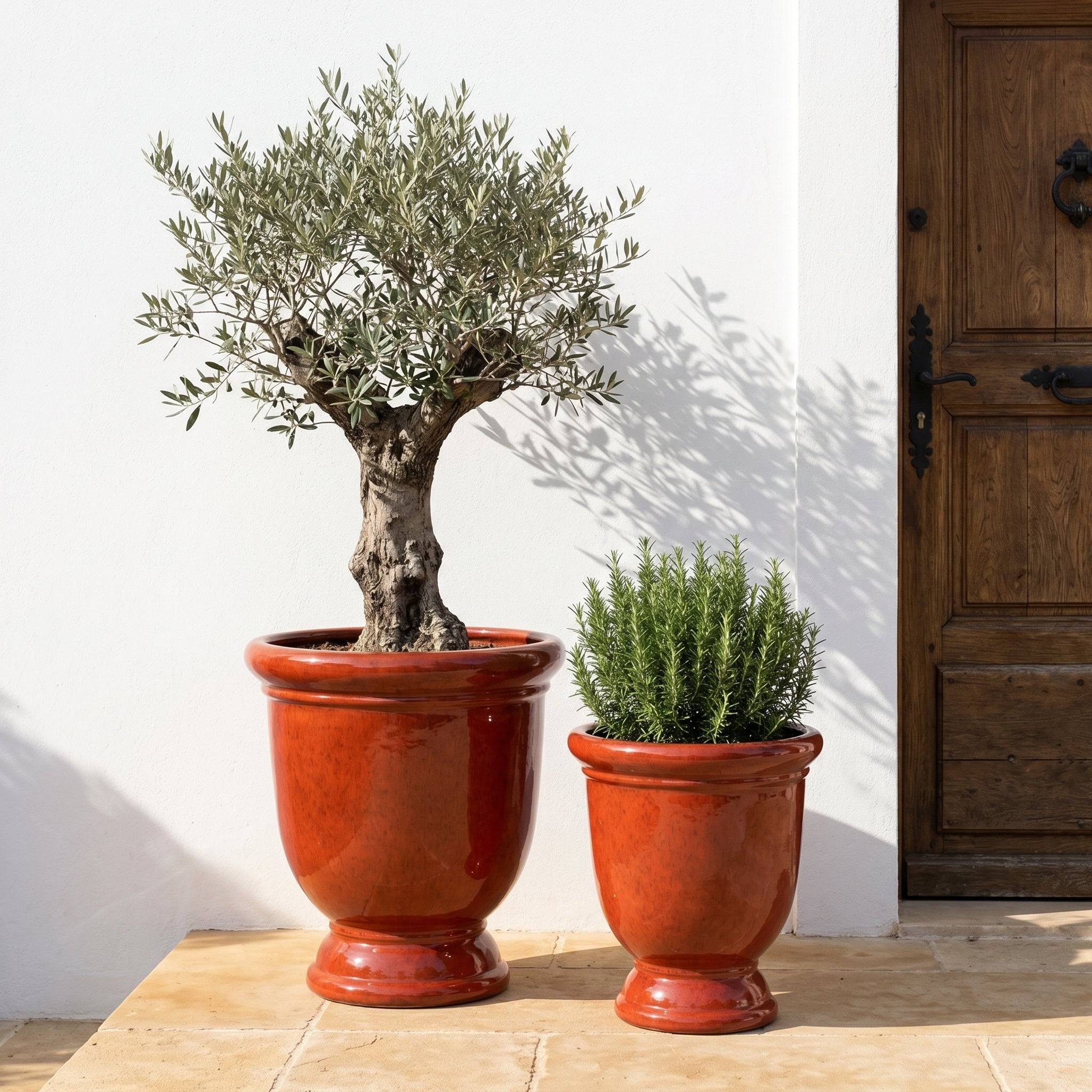 Pot TITAN 53x55cm rouge tropical - Image 4
