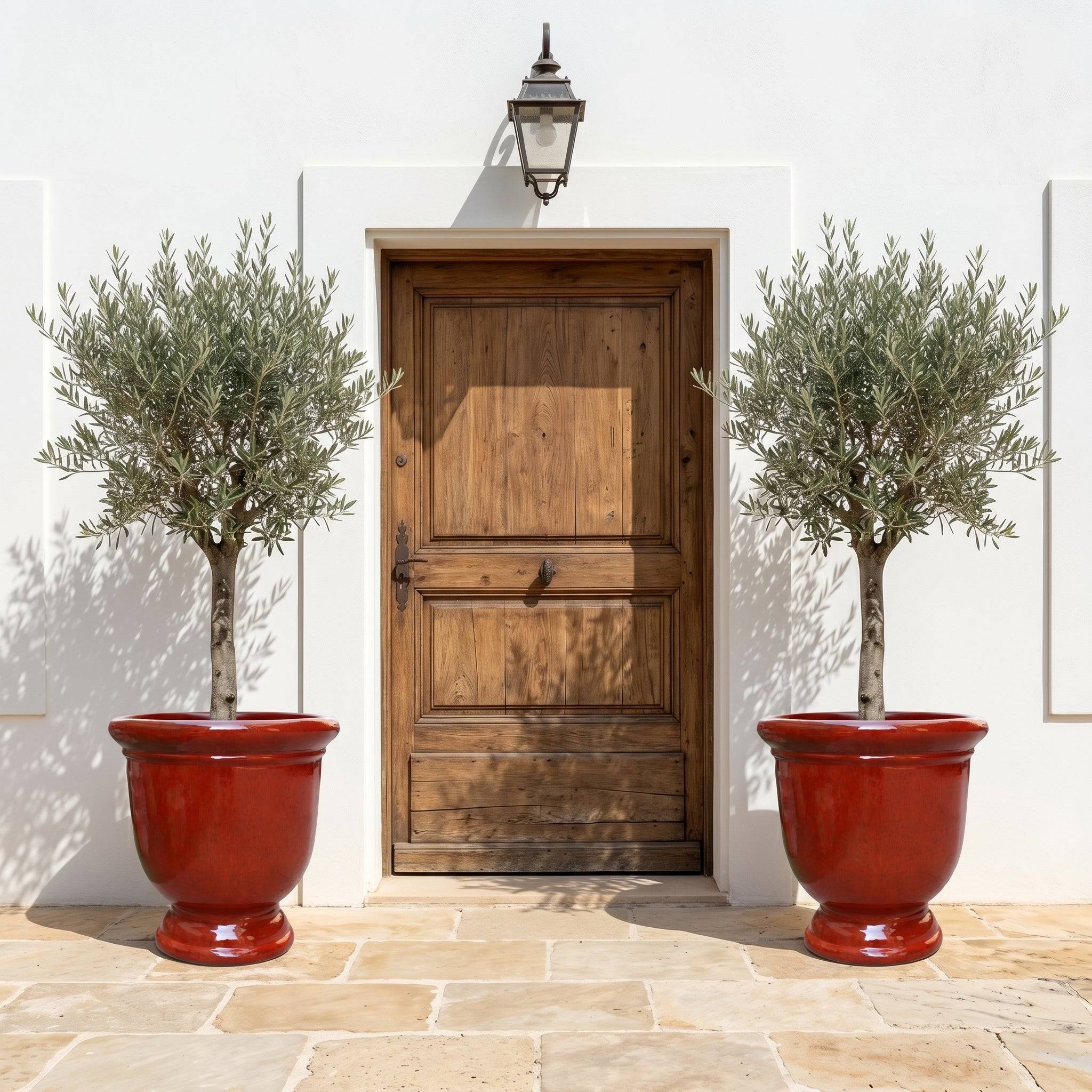 Pot TITAN 53x55cm rouge tropical - Image 5