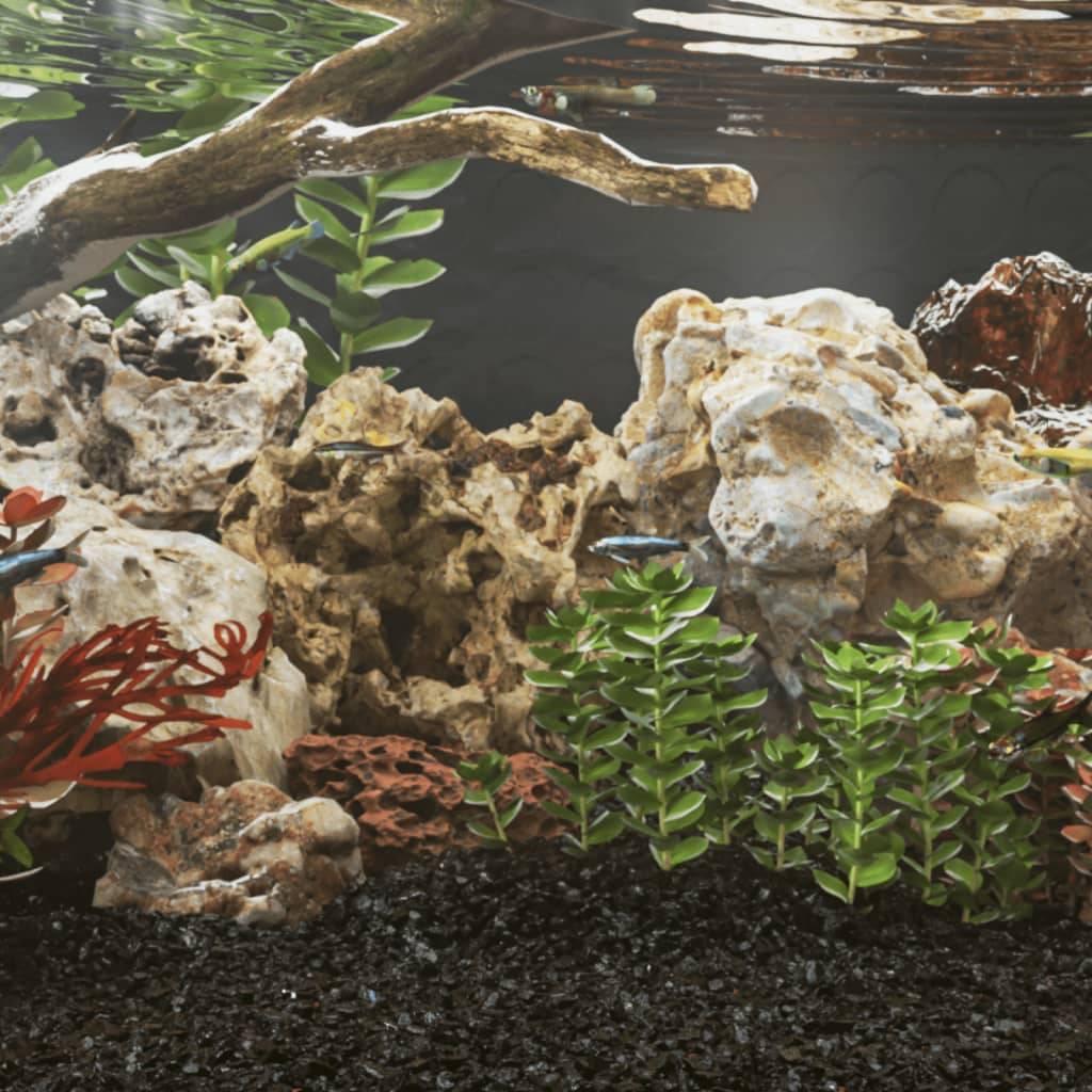 ComfortXL - Pierres du Dragon Grises Roche Décoration Aquarium Aquascaping Terrarium 10-40 cm 10 kg - ComfortXL Outdoor Living - Image 1