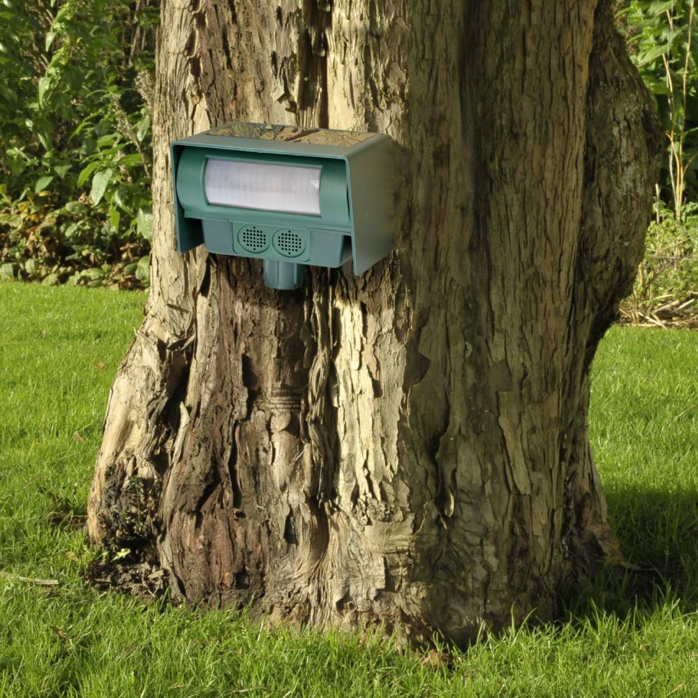 Terre Jardin - Anti chat et nuisible solaire à ultrasons - Image 5