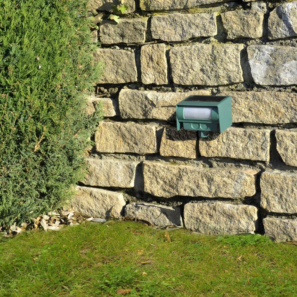 Terre Jardin - Anti chat et nuisible solaire à ultrasons - Image 7