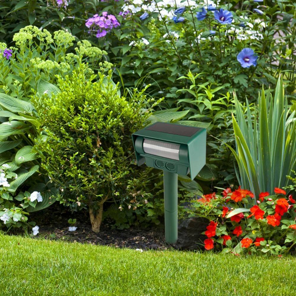 Terre Jardin - Anti chat et nuisible solaire à ultrasons - Image 6