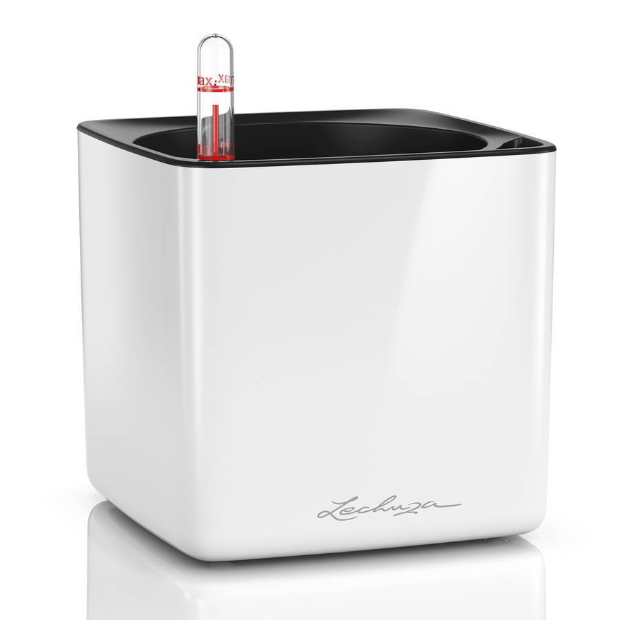 Lechuza - Cube Glossy 16 - 16x16x16 cm - Kit Complet, blanc ultra brillant Lechuza