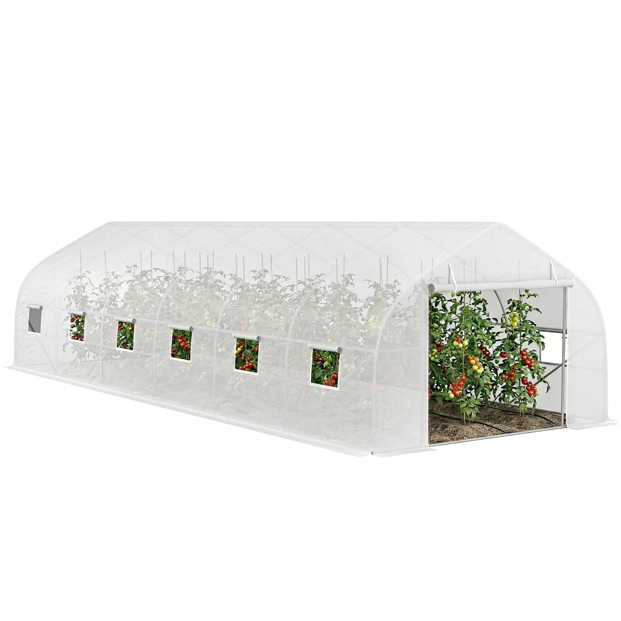 ComfortXL - Grande serre tunnel de jardin 24 m² en PE blanc et acier galvanisé 800 x 300 x 200 cm avec 12 fenêtres de ventilation - Image 2