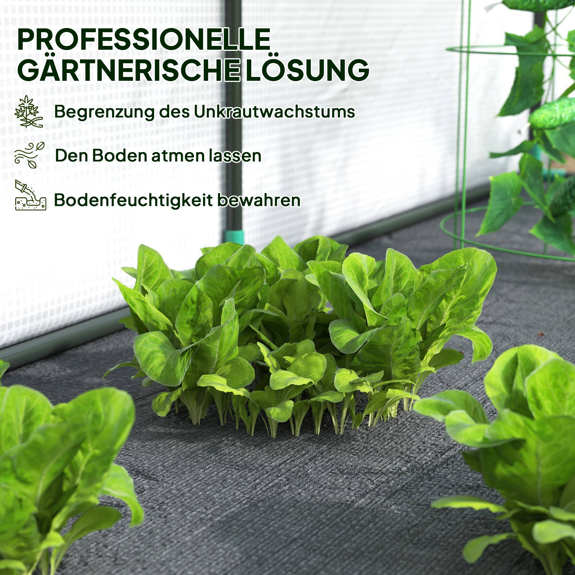 ComfortXL - Serre adossée acier pour potager balcon protection UV porte déroulante 200x80x157cm blanc - ComfortXL Outdoor Living - Image 4
